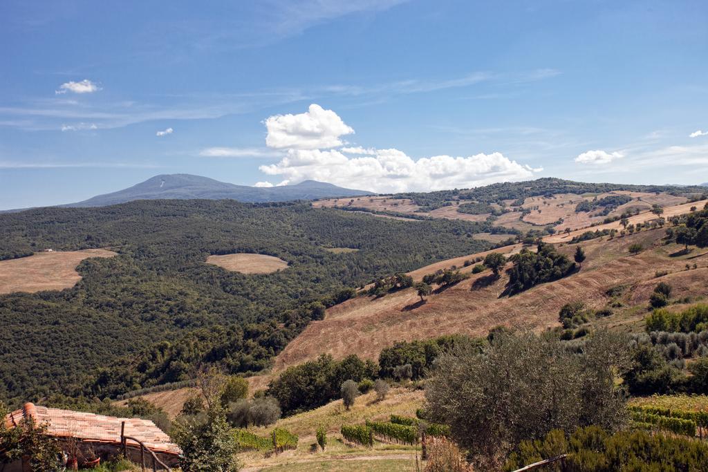 Villa Podere Casella à Castiglione dʼOrcia Extérieur photo
